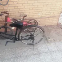 ماهشهر ناحیه صنعتی خیابان گلبرگ ۵ ام ۳