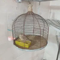 سهره خاکی مست دهندار