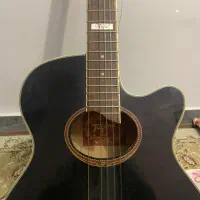 گیتار وگاس پیکابدار