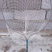 تور کبوتر