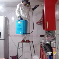 سمپاشی سوسک.ساس حشرات خونگی|خدمات نظافت|گرگان, |دیوار