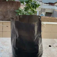 کیسه کاشت نهال