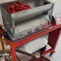 آب گوجه گیری
