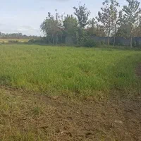 متراژ ۴۰۰ متر قیمت هر متر ۳۰۰۰مسکونی