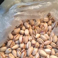 پسته احمد آقایی امسالی