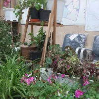 اجاره-واحد-در-دادگستری