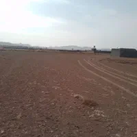 فروش-زمین-باغی