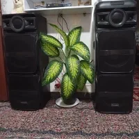 اسپیکر|سیستم صوتی خانگی|رفسنجان, |دیوار