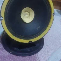 باند و آمپلی