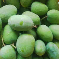 انبه درجه یک