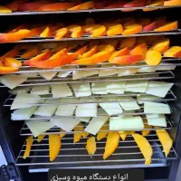 شغل توی منزل با خشک کردن انواع میوه و سبزی|سایر لوازم برقی|مشهد, سعد آباد|دیوار