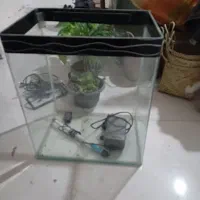 آکواریوم شیشه جلو خم شیک