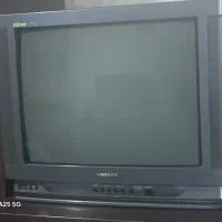 تلویزیون