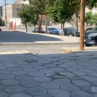 زمین‌ ویلایی با جواز  خاک برداری فاز۲ اقساط