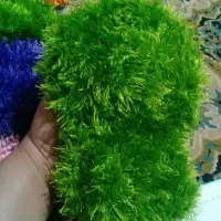 ظرف شورکاموایی ولیف کاموایی