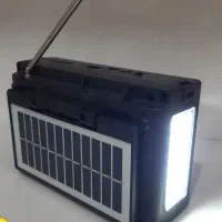 ضبط چراغ دار