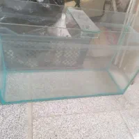 آکواریوم