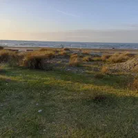 زمین-ساحلی-از-جاده-تا-دریا-داخل-بافت