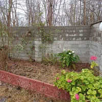 ویلا 300متری همراه بهار خواب شخصی ساز خوش قیمت|فروش خانه و ویلا|لشت نشا, |دیوار