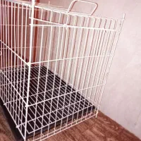 قفس بزرگ پرنده نو|لوازم جانبی حیوانات|بوشهر, |دیوار