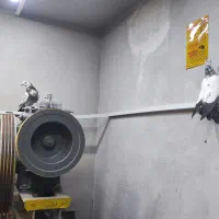 یک جفت کفتر معاوضه با فنچ