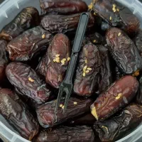 خرما پیارم مضافتی خاصویی زاهدی