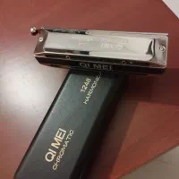 دو عدد ساز دهنی سالم و نو استفاده نشده|سازهای بادی|کرج, شهرک جهان‌نما|دیوار