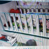 سرویس تختخواب کودک نوجوان|تخت و صندلی بچه|زابل, |دیوار