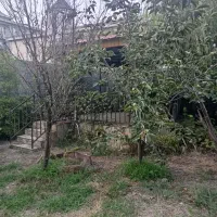 فروش زمین مسکونی قواره دو ساحل چمخاله|فروش زمین و ملک کلنگی|چاف و چمخاله, |دیوار