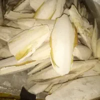 کف دریا|عمده‌فروشی|باوی, |دیوار