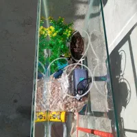 آکواریوم با تمام وسایل|ماهی|مراغه, |دیوار