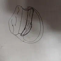 انگشتر طلای من گمشده|اشیا|کاشان, ملک آباد|دیوار