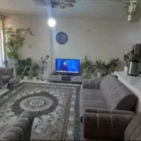 هم فکری