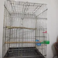 قفس طوطی|لوازم جانبی حیوانات|اصفهان, الهیه|دیوار