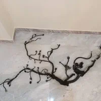 سیم کشی مورانو 2008 و مورانو 2009 تیانا استوک|قطعات یدکی و لوازم جانبی|تهران, حشمتیه|دیوار