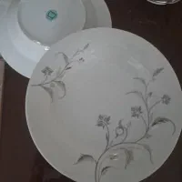 بشقاب های خارجی. وپارچ ولیوان