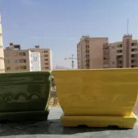 گلدان|گل و گیاه طبیعی|صدرا-فارس, فاز ۱|دیوار