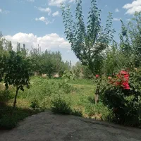 ویلا باغ1000متری