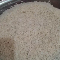 برنج طارم هاشمی