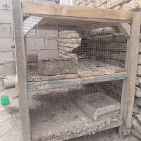 قفس چوبی و گلخانه کوچیک