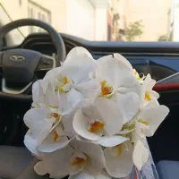 گل آرایی ماشین عروس و انواع مراسم|خدمات پذیرایی، مراسم|تهران, فردوس|دیوار