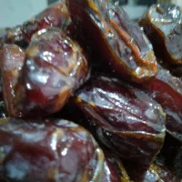 خرمای کبکاب