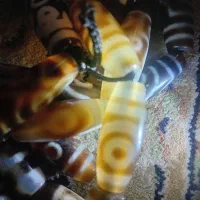 ۳۹ مهره لول تبتی کهنه طبیعی|کلکسیون اشیاء عتیقه|تهران, قنات‌کوثر|دیوار