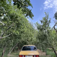 بنز کلاسیک ۲۳۰ دانشجویی|خودرو کلاسیک|کرج, حصارک بالا|دیوار