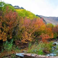 ۷۰۰ متر باغ در سنگان ۱۱ کیلومتری شمال غرب تهران|فروش خانه و ویلا|تهران, شهران شمالی|دیوار