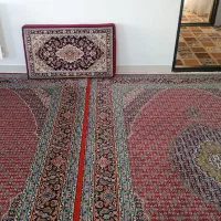 فروش فرش و پشتی کار کرده|فرش|سقز, |دیوار