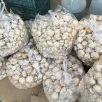 قارچ درجه یک زیر قیمت میدان بار