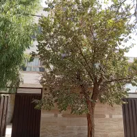 آپارتمان-70-متری-خیابان-زاد