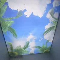 سقف کشسان. ساتن .لاکر.برلیانس.لاین دوطرفه ویکطرفه|خدمات پیشه و مهارت|یزد, |دیوار