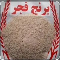 برنج فجر